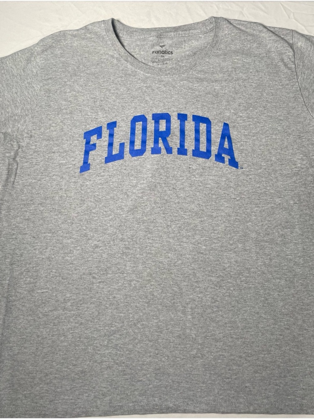 Fanatics Women’s Plus Size Florida Gators Gray T-Shirt with Blue Arch Logo NCAA